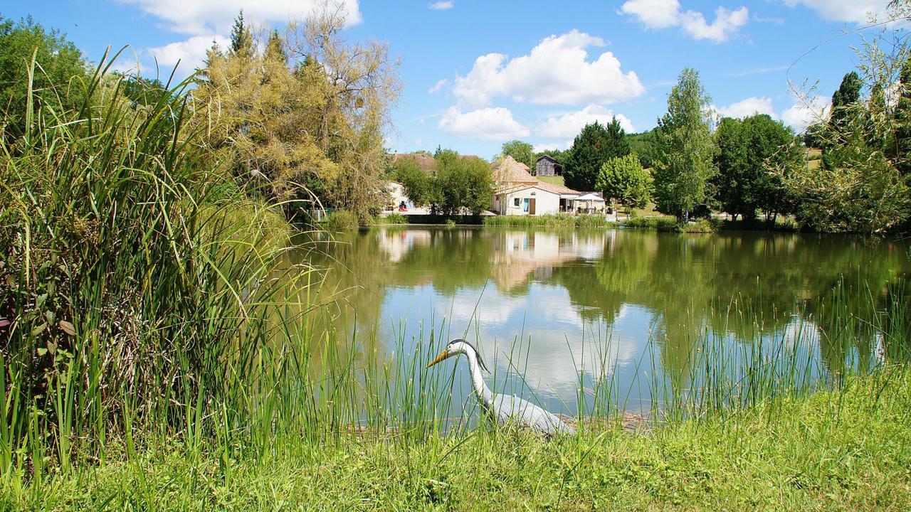 Le Domaine De L'Etang De Sandanet Issac Zewnętrze zdjęcie