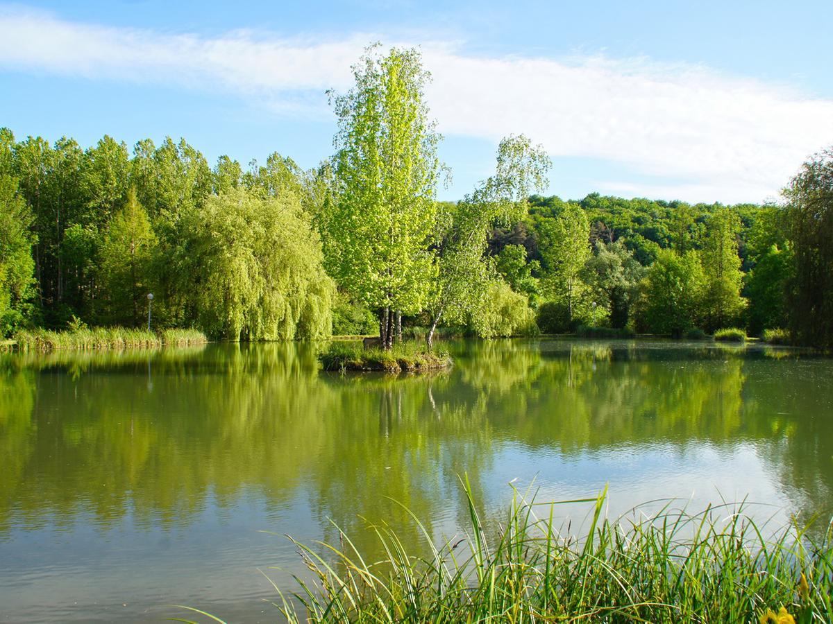 Le Domaine De L'Etang De Sandanet Issac Zewnętrze zdjęcie